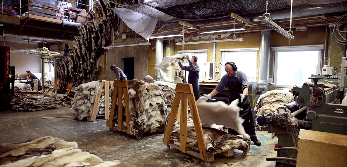 The Tannery